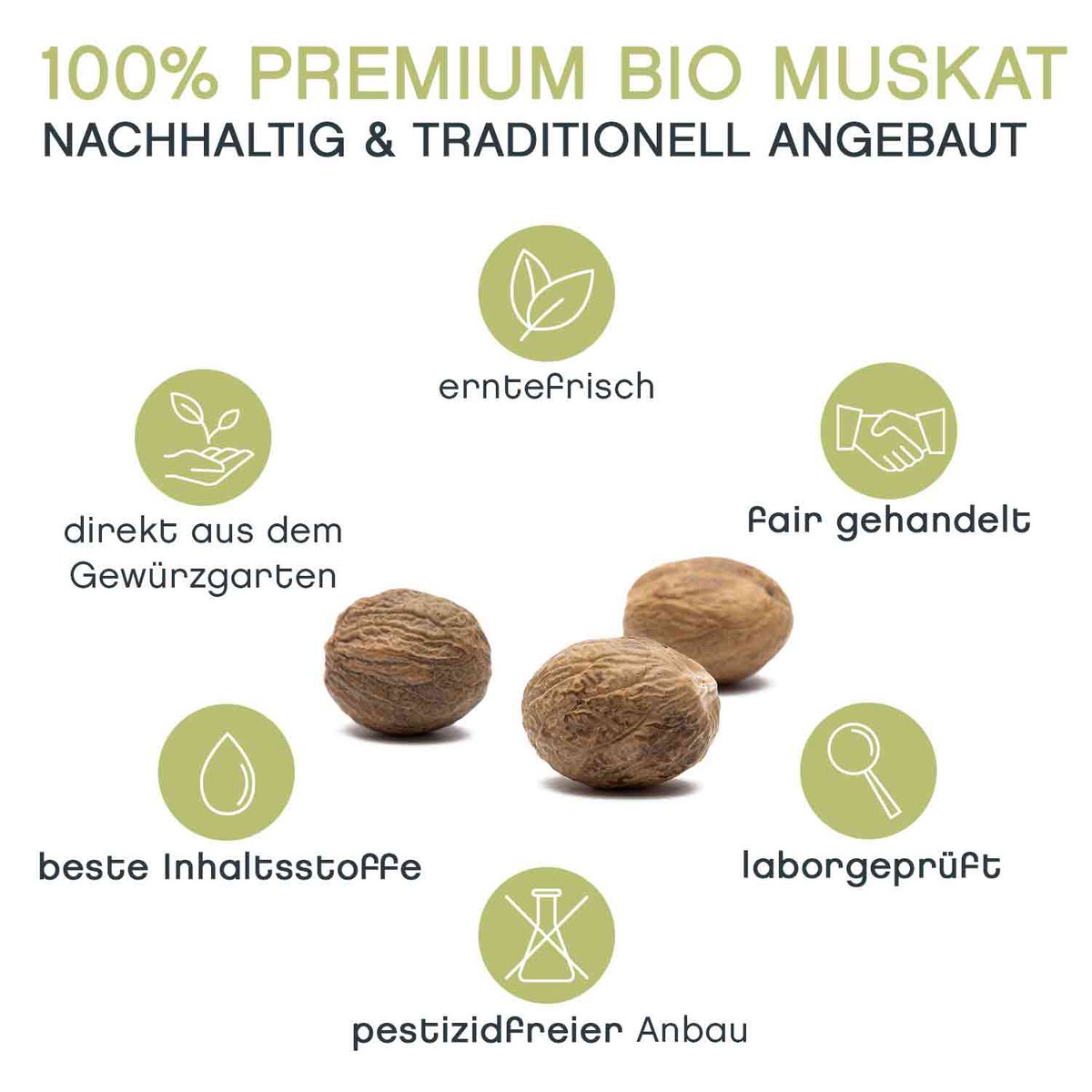 Hele nootmuskaat, BIO, 10 stuks