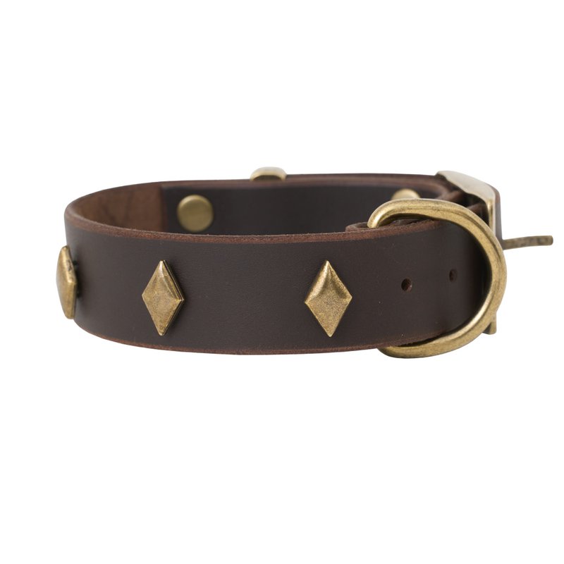 Collar per cani in pelle morbida dal marchio di cuccioli soffici, rivetti decorativi tra cui scegliere, made a mano!