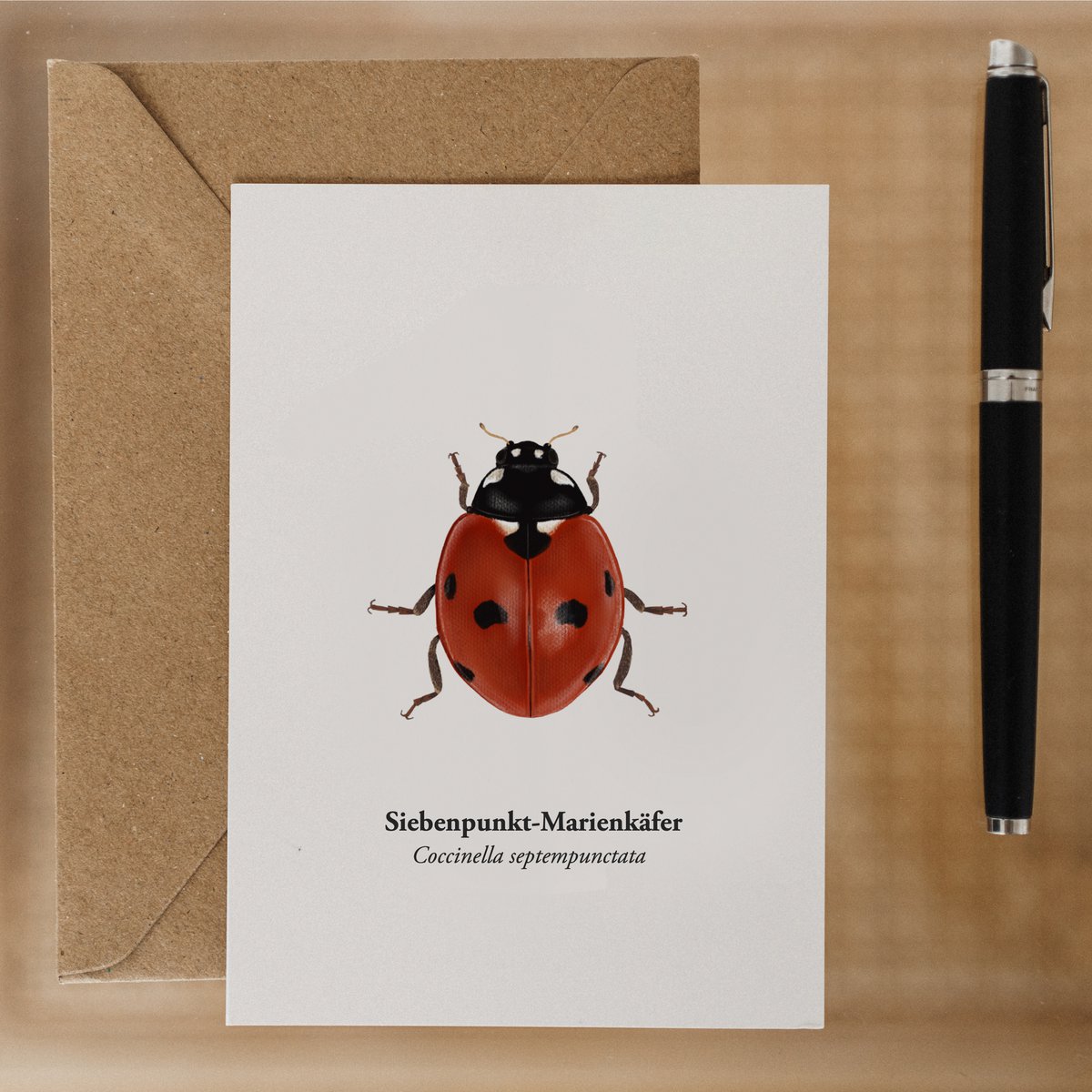 Marienkäfer Postkort - Natural illustration af høj kvalitet og heldig charme