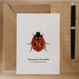 Marienkäfer Postkort - Natural illustration af høj kvalitet og heldig charme