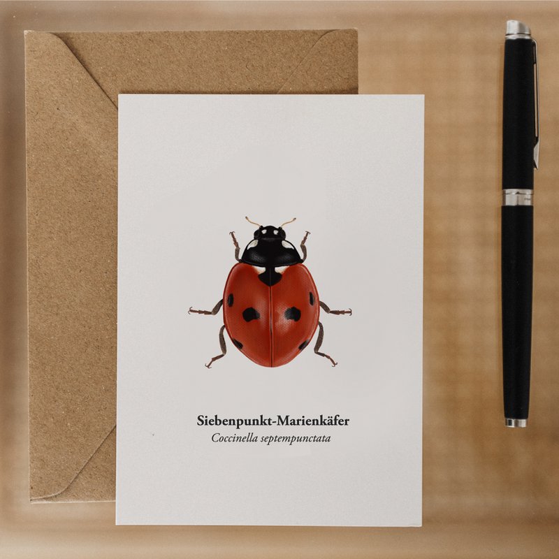 Marienkäfer Postkort - Natural illustration af høj kvalitet og heldig charme