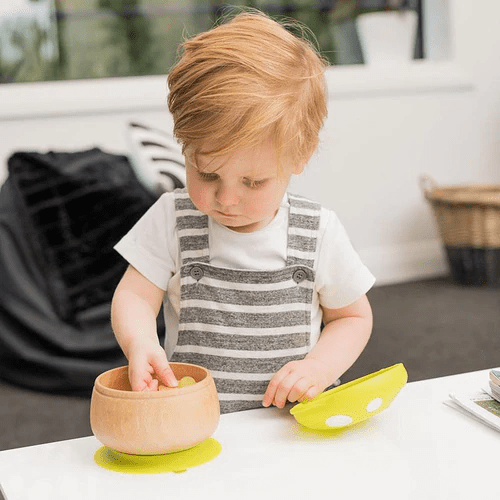Haakaa Wood bowl with lid and suction cup