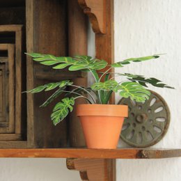 Monstera délicieux mini kit d’artisanat de jardin