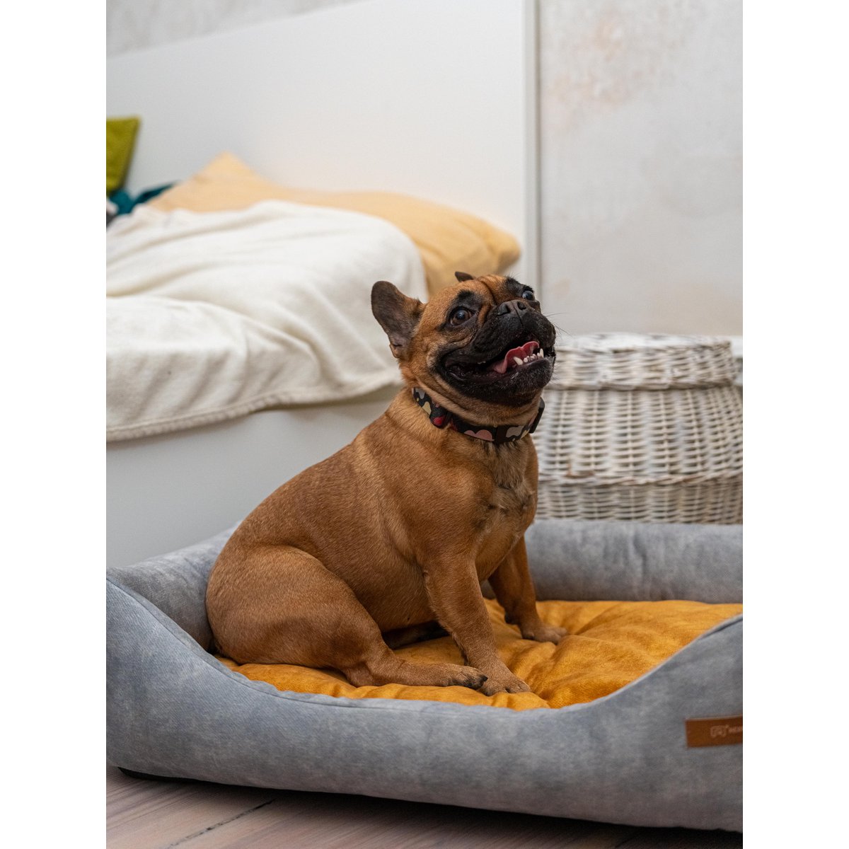 Cuccia per cani e gatti SoftColor - grigio chiaro/multicolore