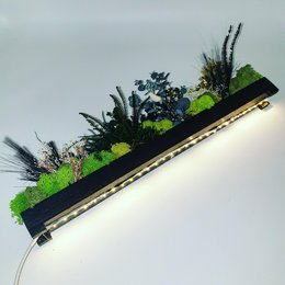 Stabilized vegetable bar, 50cm LED, artificial plant with various color options including red, blue, green, white, yellow, purple, and orange.