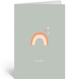 DLN104 - Regenboog
