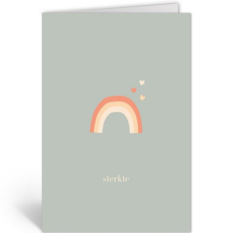DLN104 - Regenboog