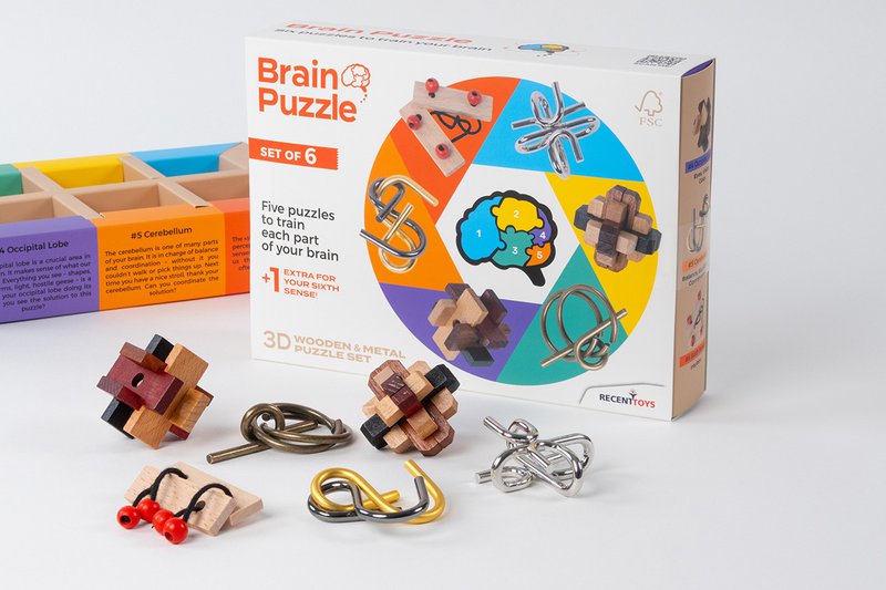 Brain Puzzles - set of 6