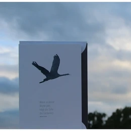 Watercolor sympathy card | Flying crane | Quote M. Gandhi