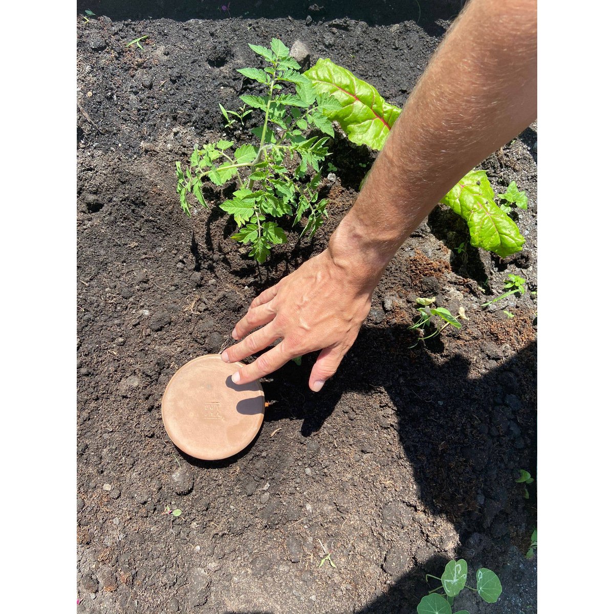 Pot auto-arrosant pour jardins - Lutoya 5L