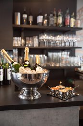 EDZARD champagne cooler bottle cooler wine cooler Cadiz, high-gloss polished stainless steel, double-walled, ø 32 cm