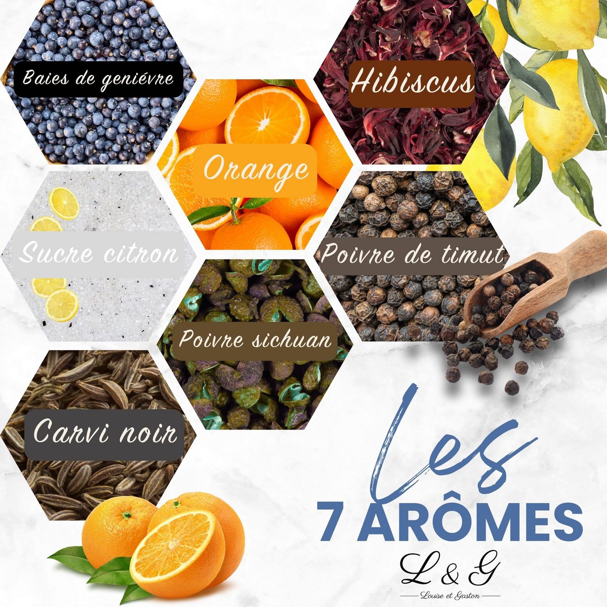 L&G® Spice Discovery Kit for Homemade Gin - Exclusive DIY Box for Men and Women | Unique Gift Idea for Christmas, Birthday, Valentine's Day | An Unforgettable Experience to Enjoy at Home