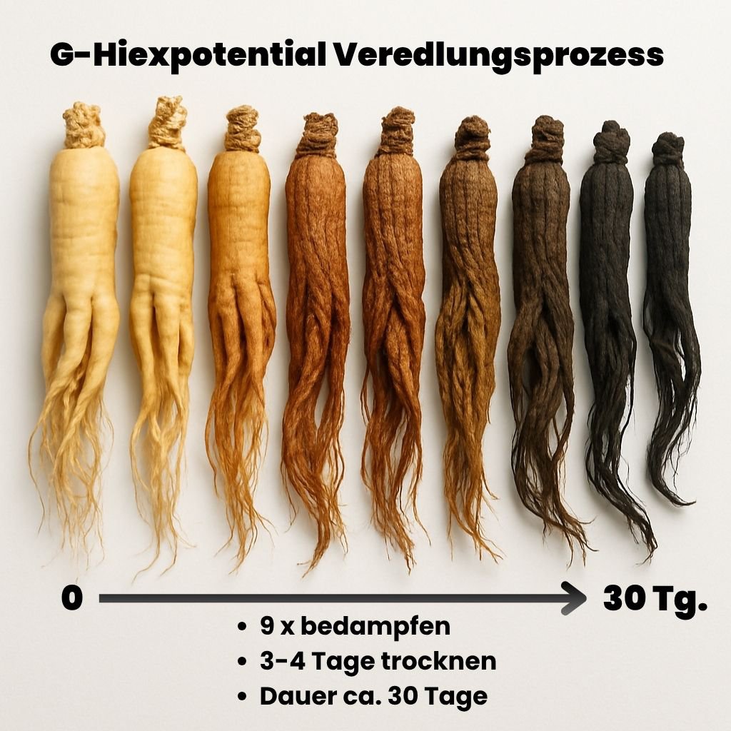 Crème de nuit raffermissante au ginseng