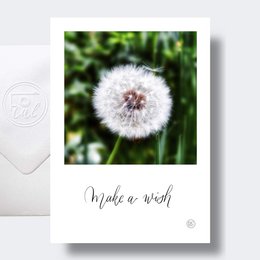 A delicate dandelion flower with fluffy white seeds against a blurred green background. The card has the text "Make a wish" written in a cursive font.