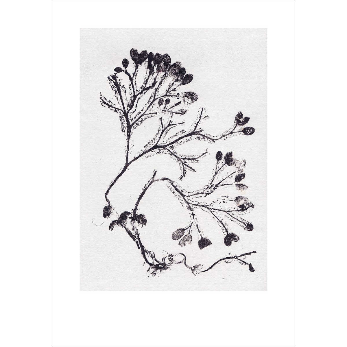 Seaweed grey 70x100 cm