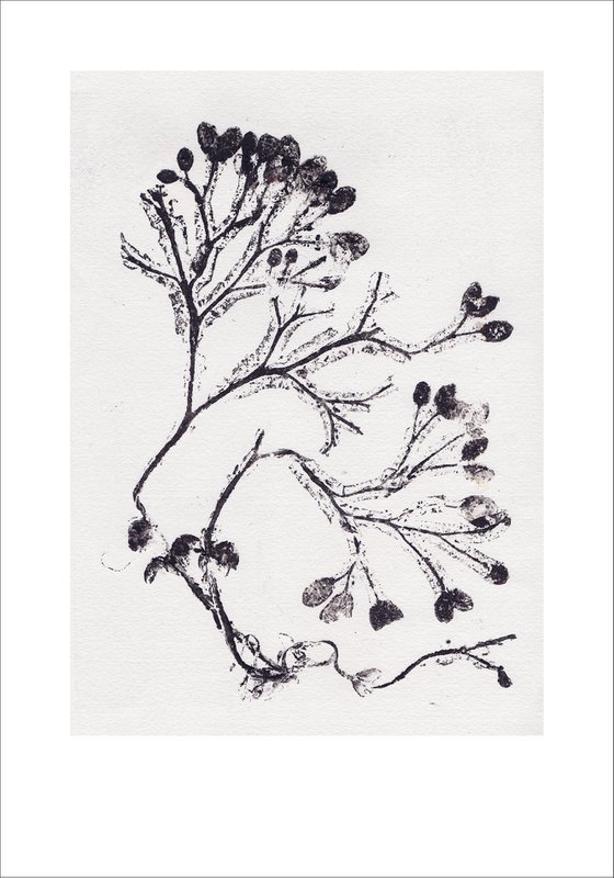 Seaweed grey 70x100 cm
