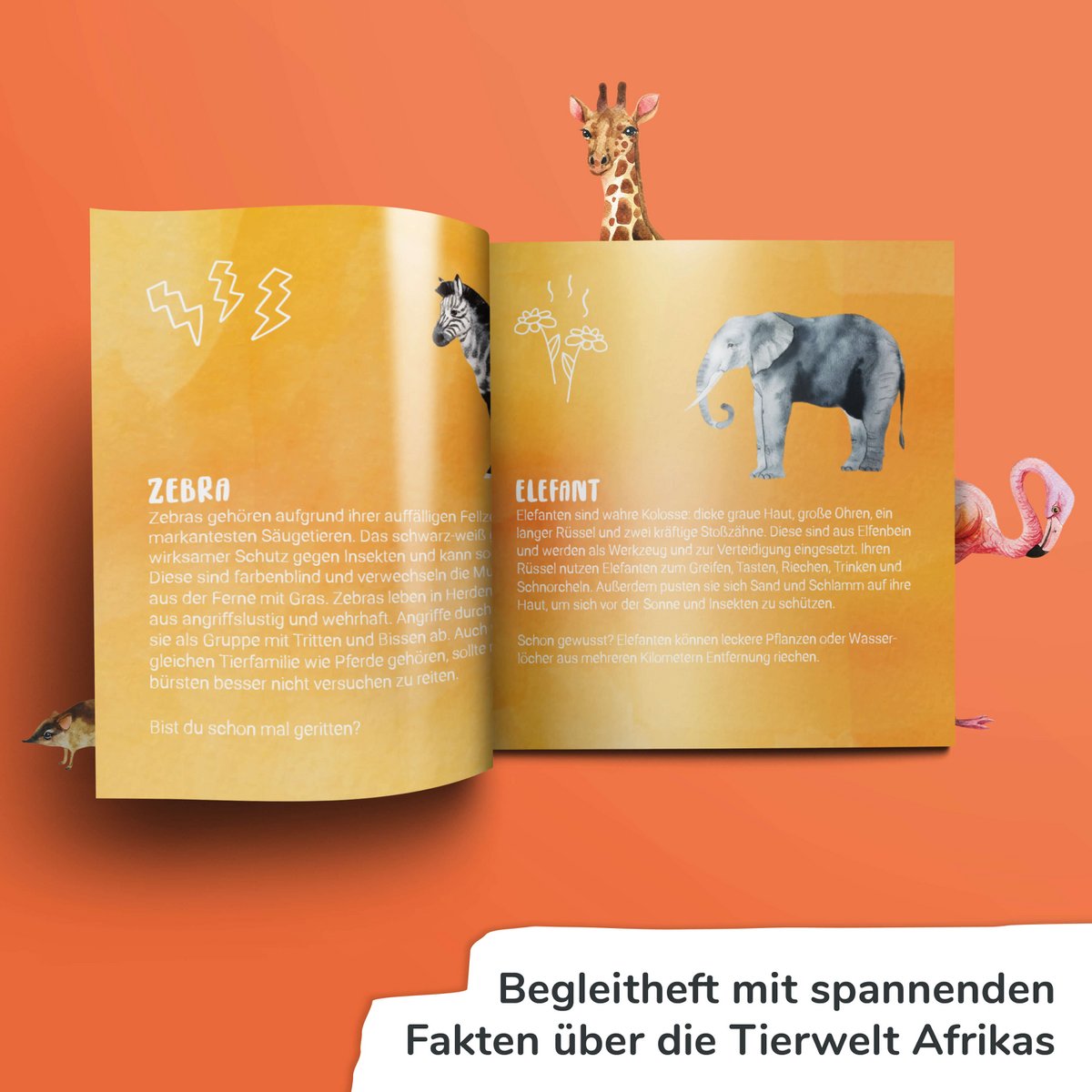 "SAFARI" - Extra groot geheugenspel - Duits en Frans - Animals of Africa - Zeer hoge kwaliteit