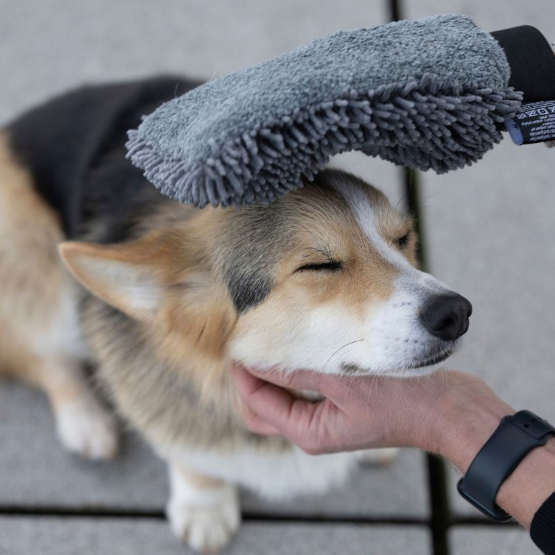 Hund tør handske hurtig tør grafit