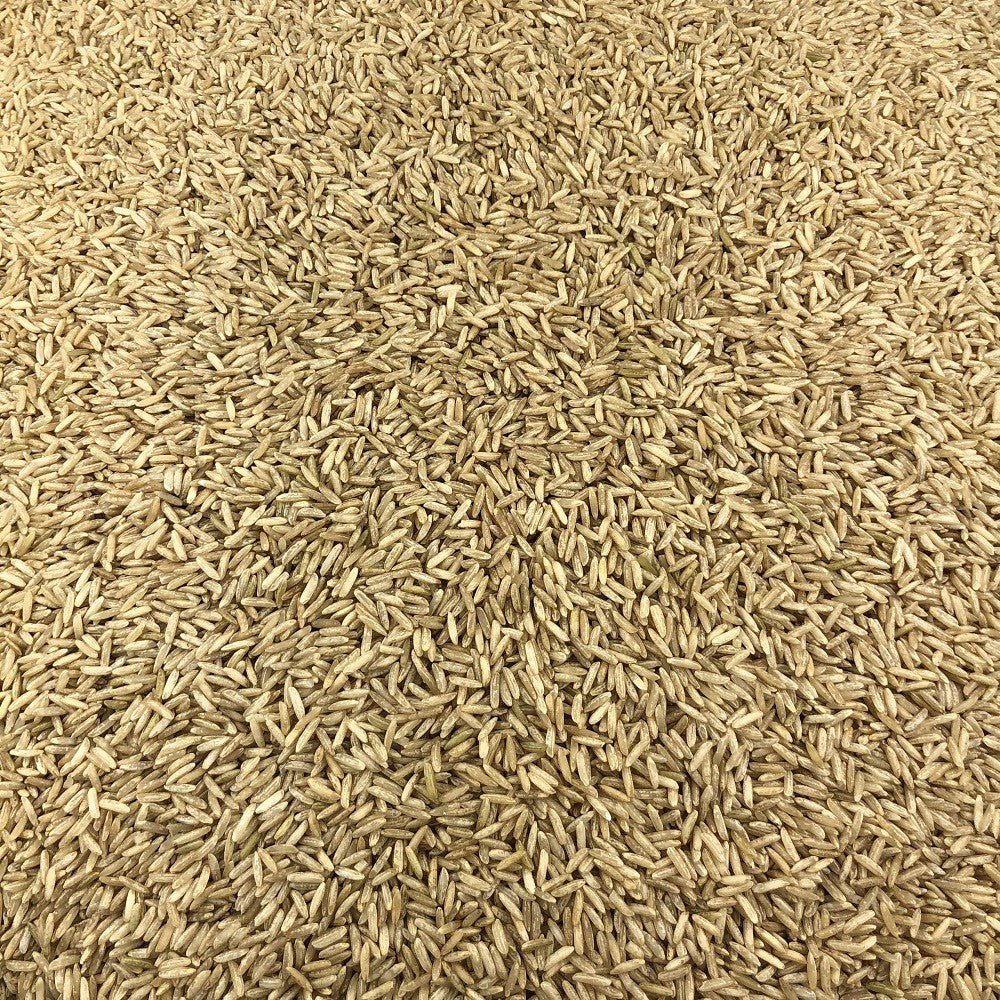 Organic Basmati Rice in Bulk
