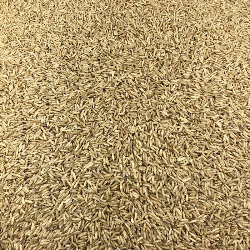 Organic Basmati Rice in Bulk