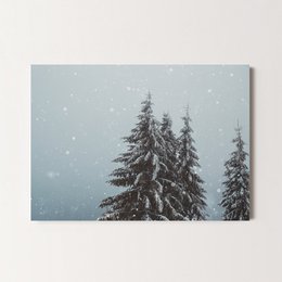 Carte de Noël forêt d'hiver (PK_107)