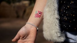 Temporary tattoo: Flying pig