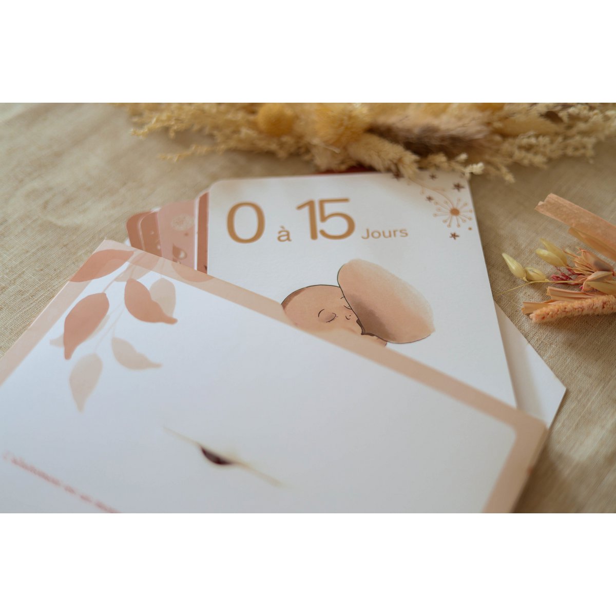 Cartes étapes d'Allaitement