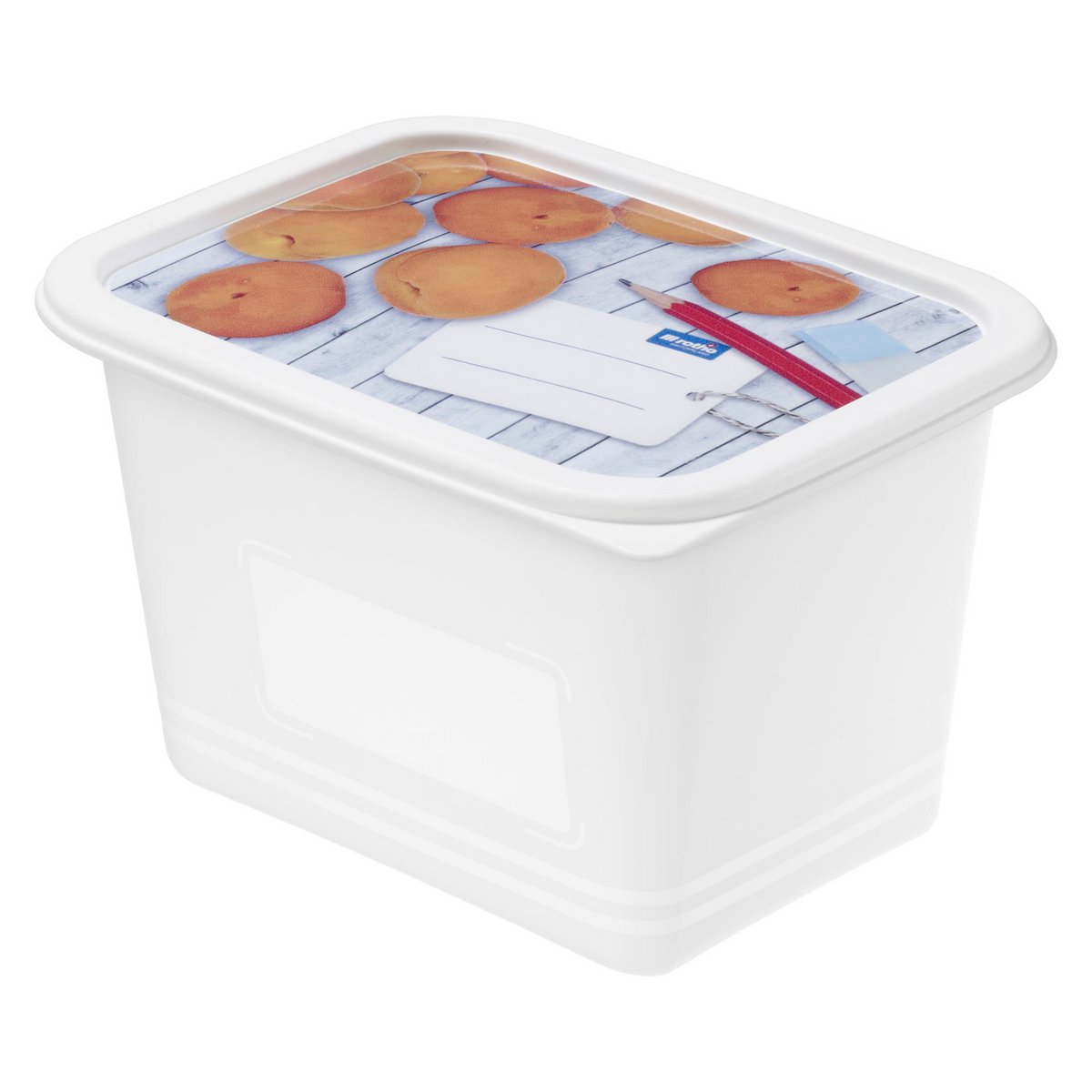 Rotho Gefrierbox-Set 4-teilig 1L