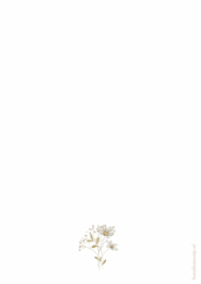 Postcard flowers congratulations