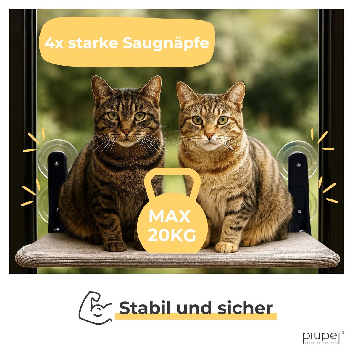 Cat Windows "Mila"