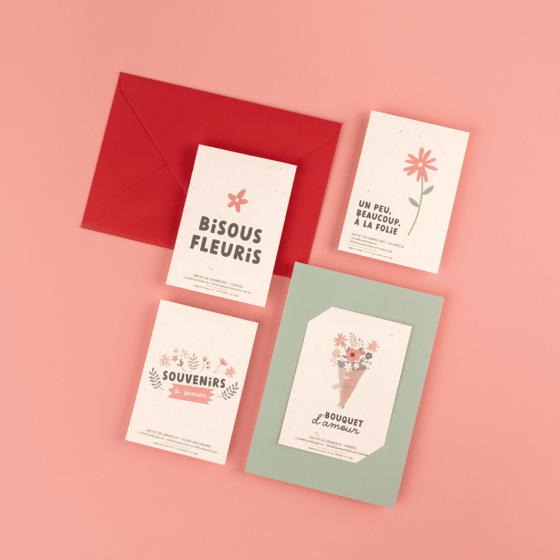 Souvenirs om te zaaien - Pakje wilde bloemenzaden