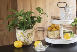 Flowerpot Ø 17x16 cm Yellow Ceramic Lemon Flowerpot Indoor