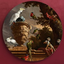 il Serraglio - Rijksmuseum
