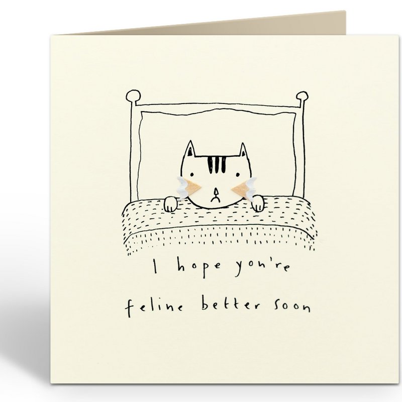 PSC156 - FELINE BEDRE