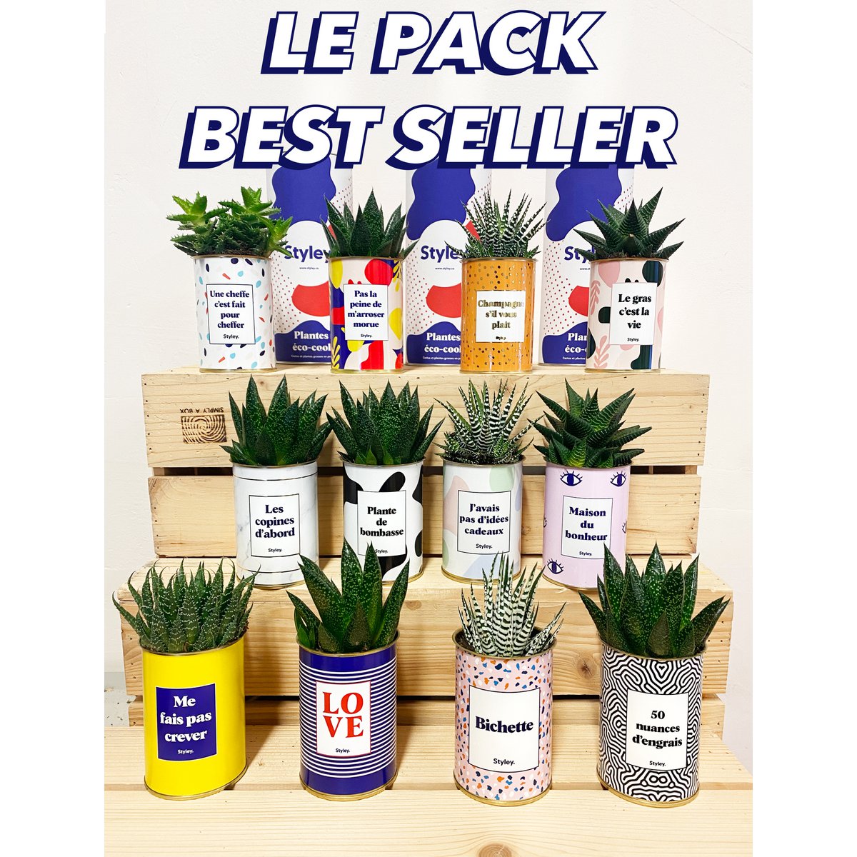 Pack Best Seller