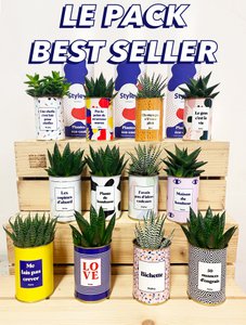 Pack Best Seller