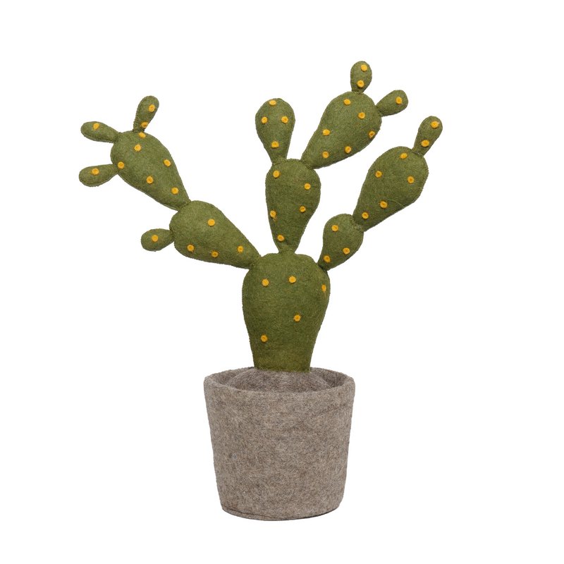 cactus plant