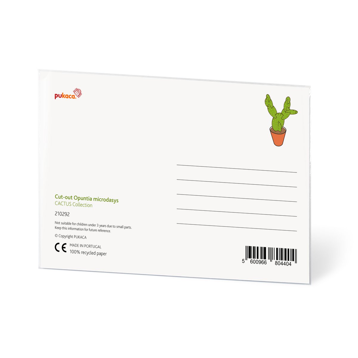 Opuntia microdasys briefkaart