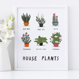 Impresión de plantas de interior