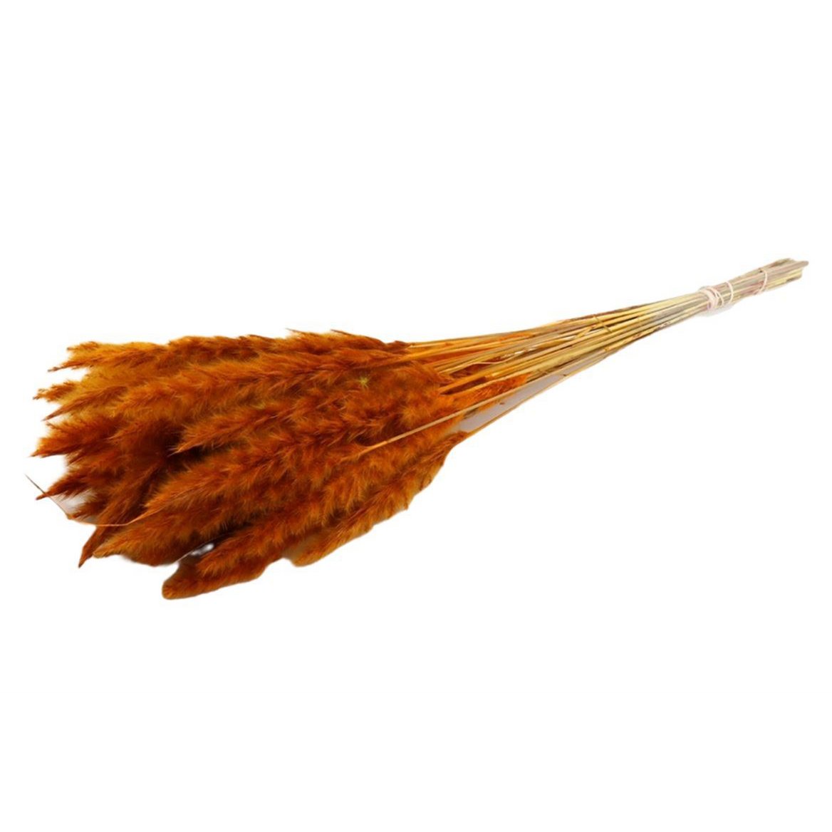 Puszyste pampasy - na pęczek - 70 cm - pomarańczowe - suszone kwiaty