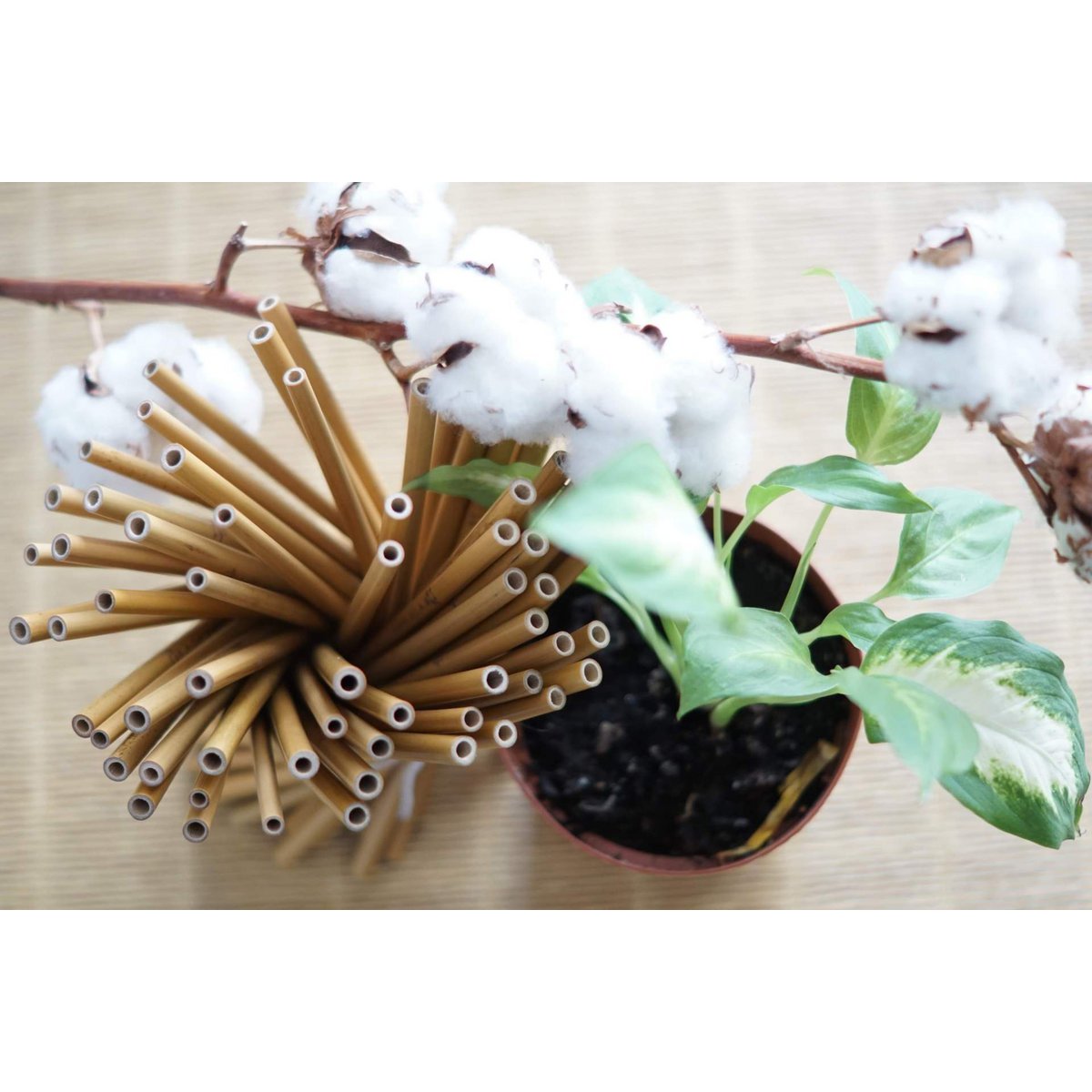 Set of 50 reusable long straws