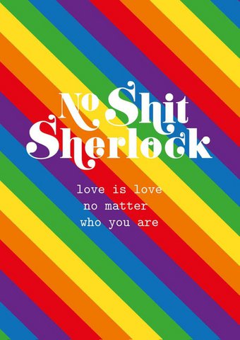 Keine Scheiße, Sherlock, Liebe ist Liebe