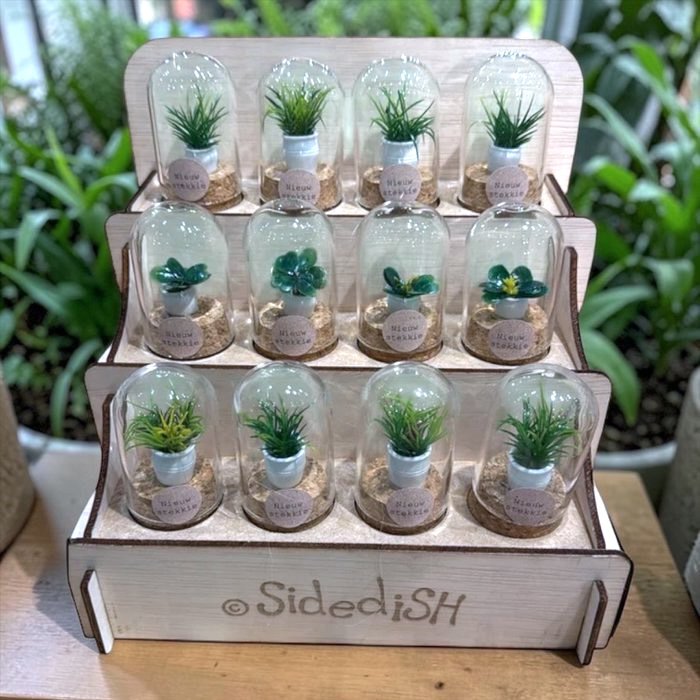 Display new spot