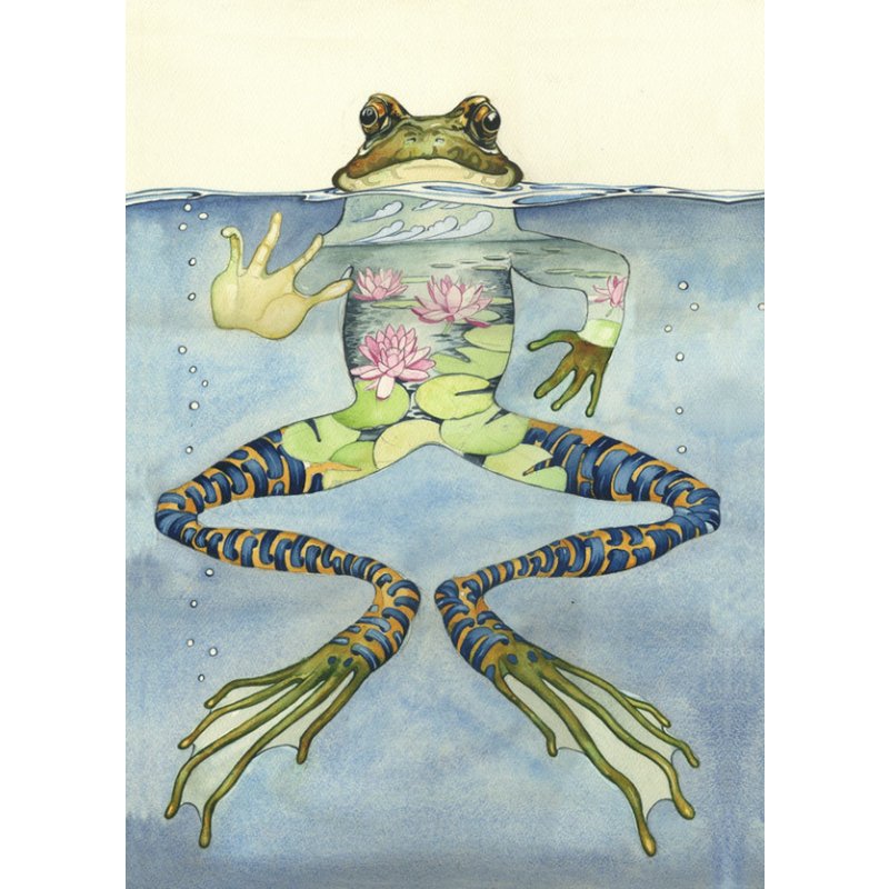 E028 - frog