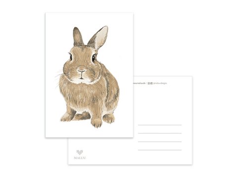 Postcard Brown Rabbit