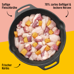 Dogs’n Tiger Adult, cibo per gatti, Frohsinn, cibo umido per gatti, senza cereali, pollame e zucca