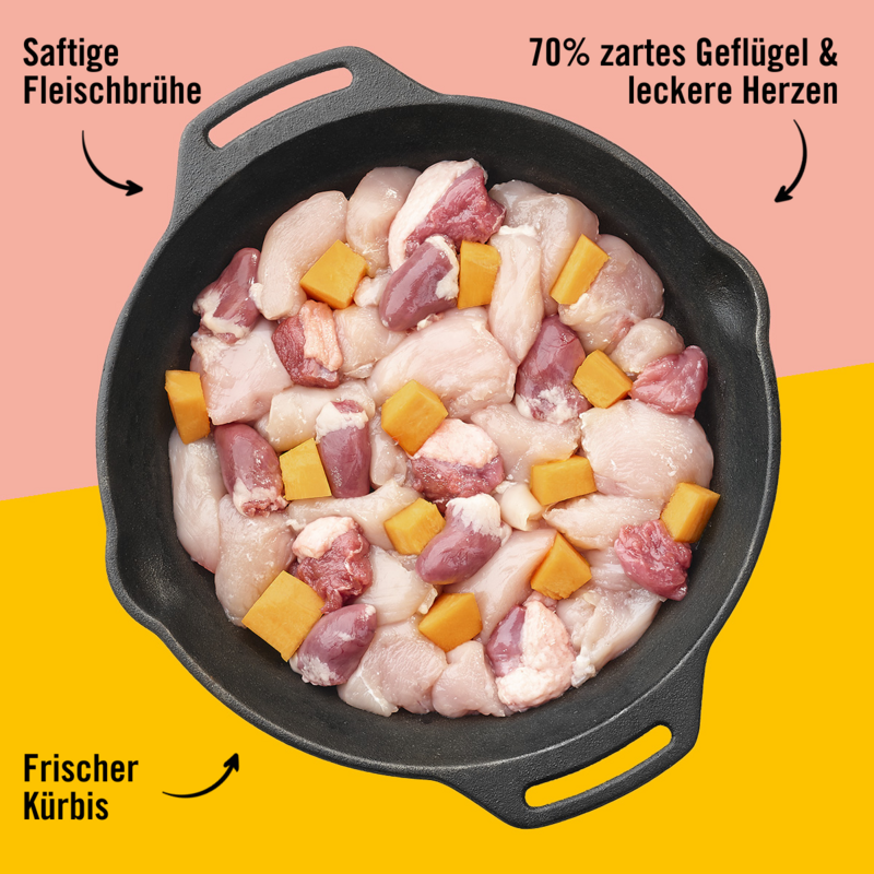 Dogs’n Tiger Adult, cibo per gatti, Frohsinn, cibo umido per gatti, senza cereali, pollame e zucca