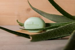 Ansigts renere aloe vera