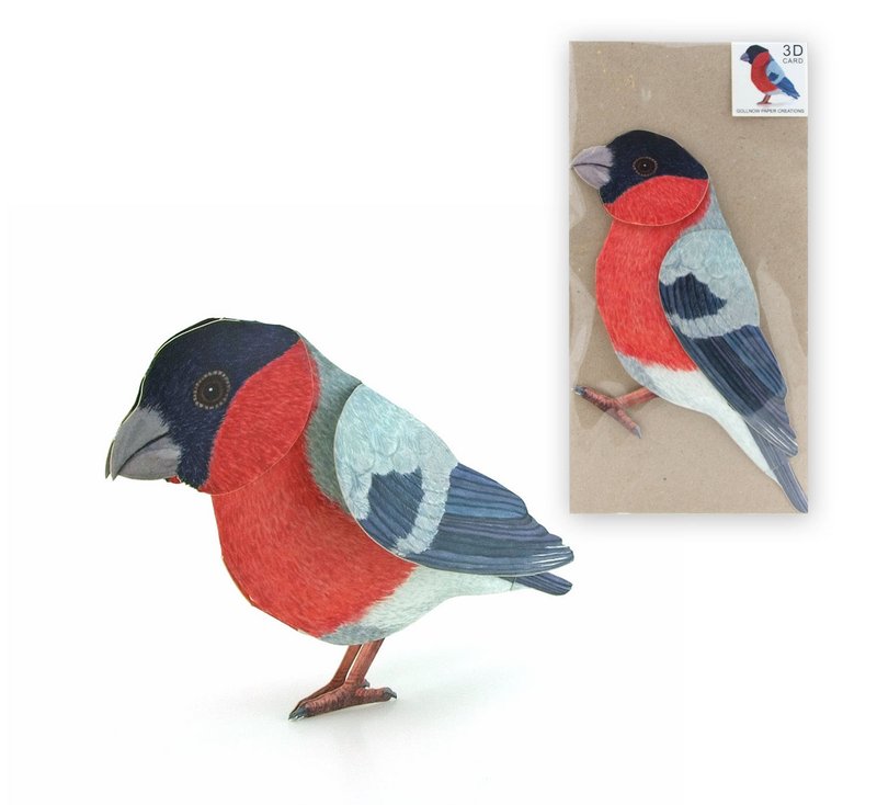 Carte des animaux en 3D Bouvreuil