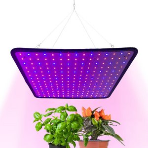 Grow lamp LED - for growth - 30 x 30 cm